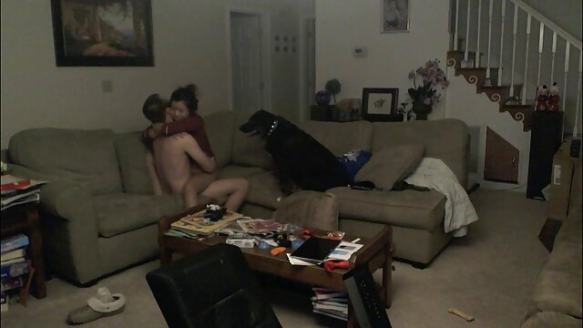 ہائی ڈیفی :   فحش فلموں